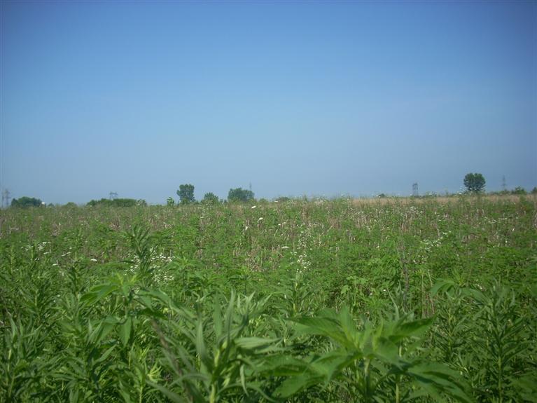 Livengood Road, Unit C Baroda, MI 49101 - Photo 1 of 4 Primary Photo