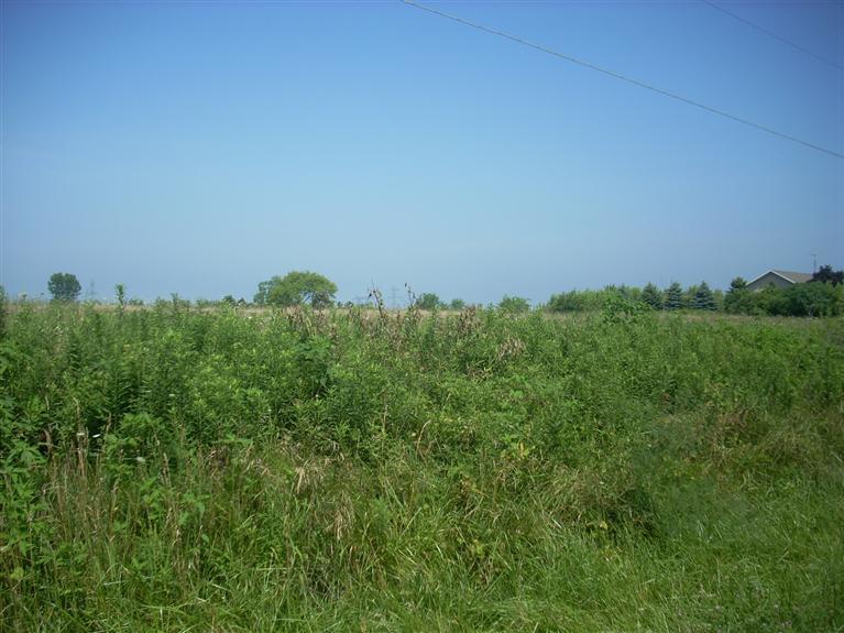 Livengood Road, Unit C Baroda, MI 49101 - Photo 3 of 4 Additional Photo