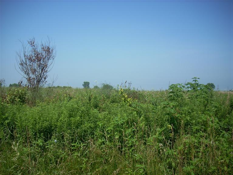 Livengood Road, Unit C Baroda, MI 49101 - Photo 4 of 4 Additional Photo