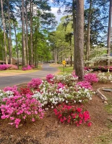 $315,000 | 2205 Chase Field, Shreveport, LA 71118