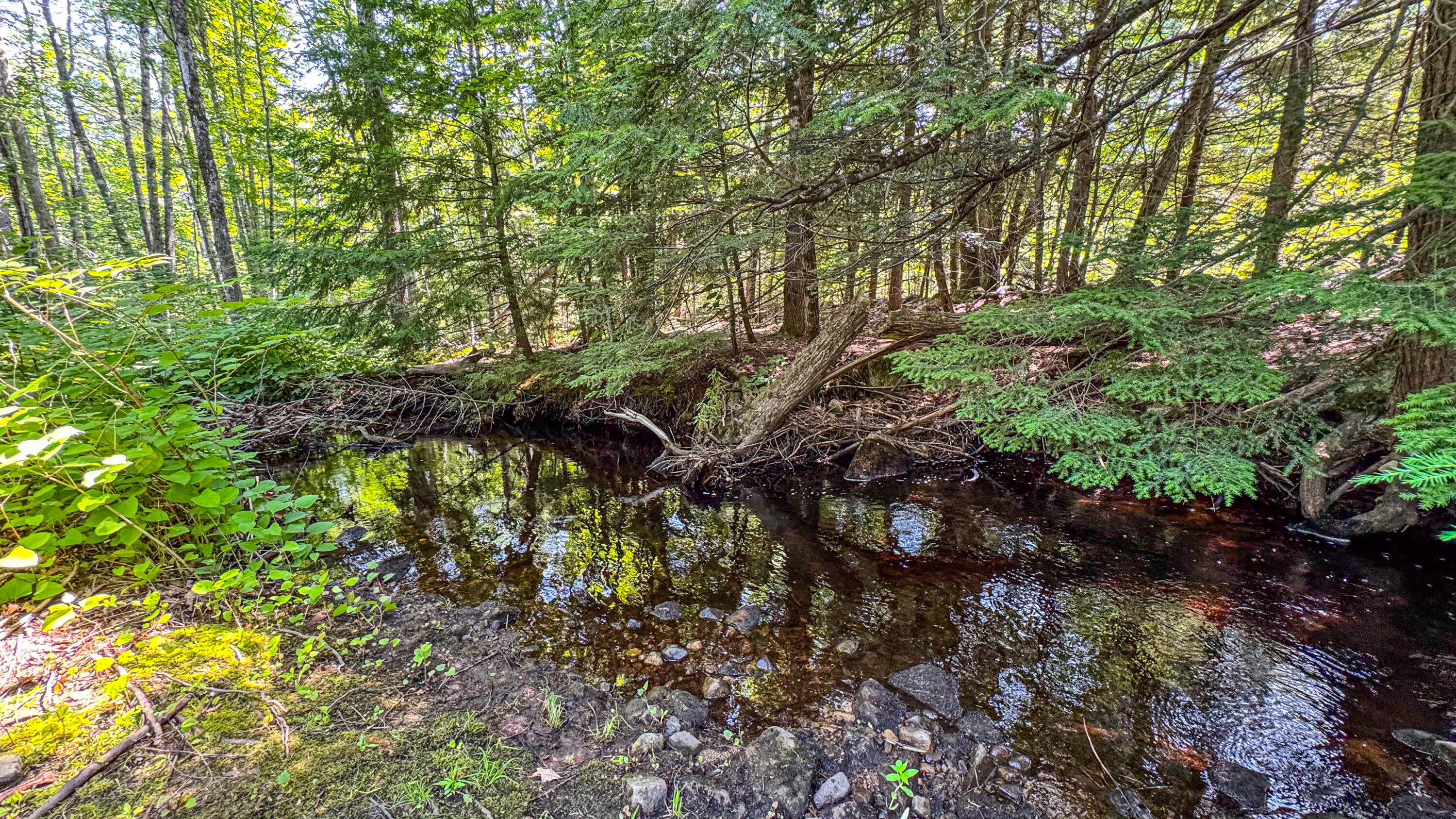 179 South Effingham Road Newfield, ME 04095 - Photo 10 of 37 179 south effingham road-49