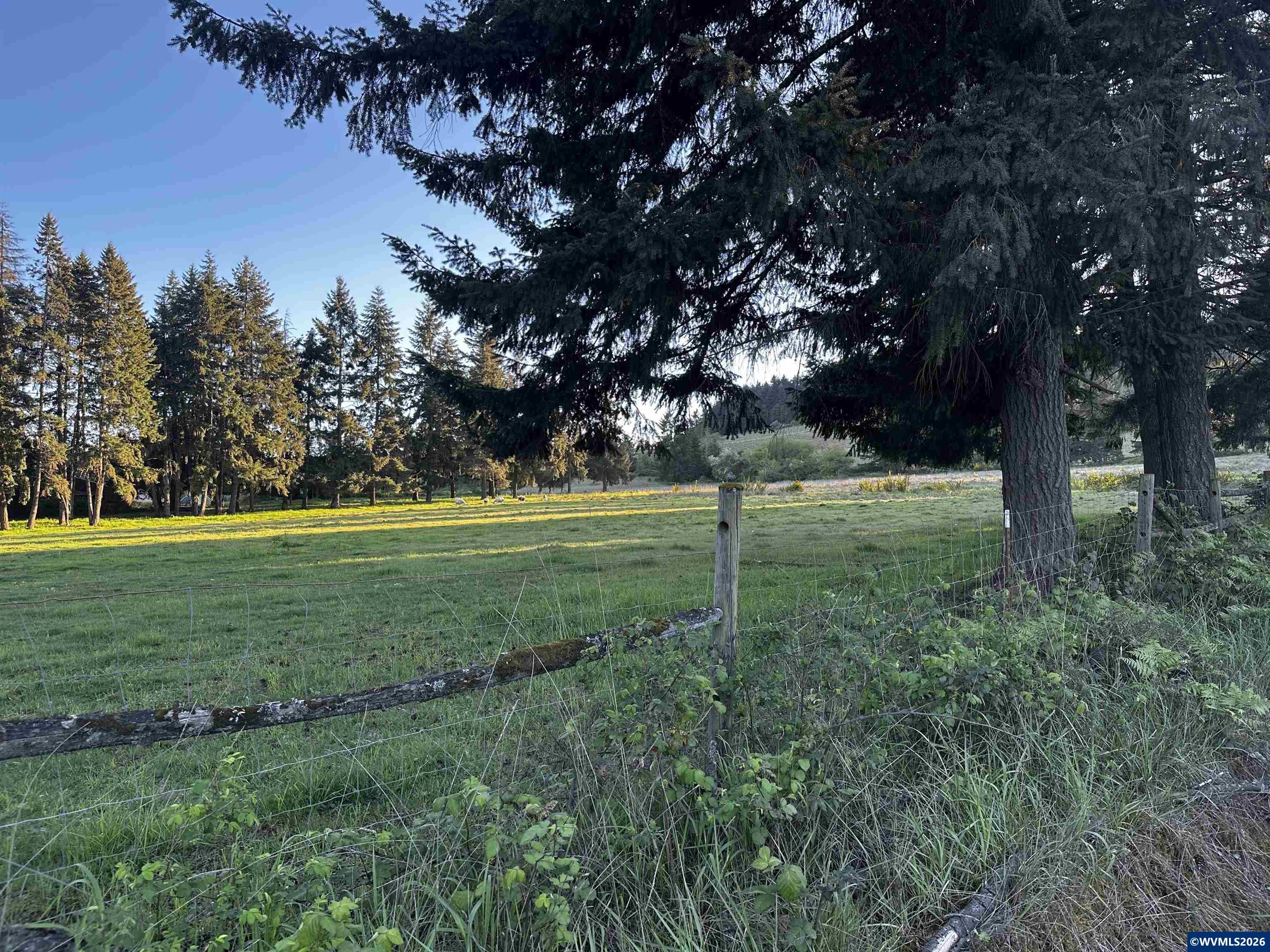 201552 Orchard Tract Road Monroe, OR 97456 - Photo 6 of 19