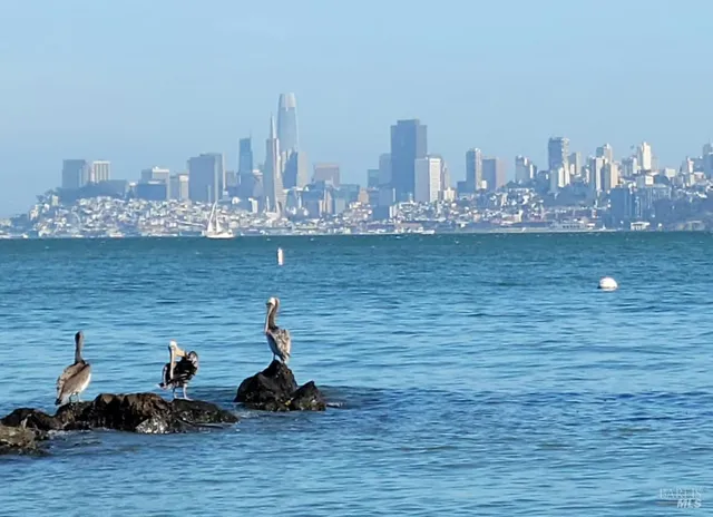 $3,000 | 305 2nd Street, Unit A, Sausalito, CA 94965