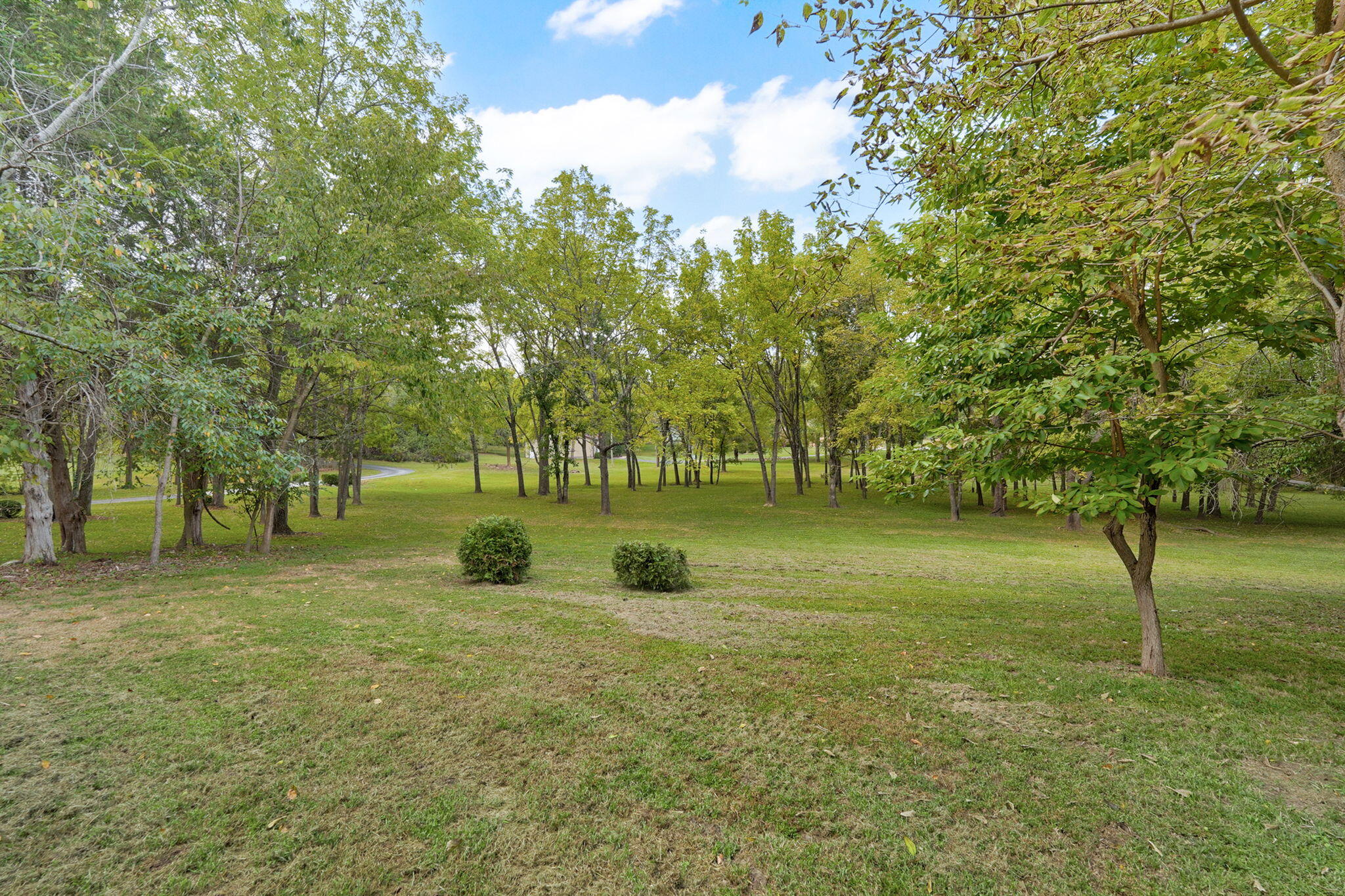 788 Rene Road Nixa, MO 65714 - Photo 87 of 99 788 Rene Rd-86