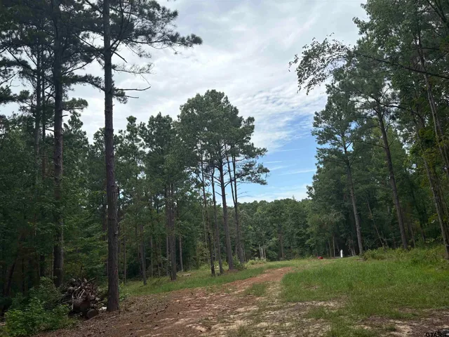 a view of a big yard with green space