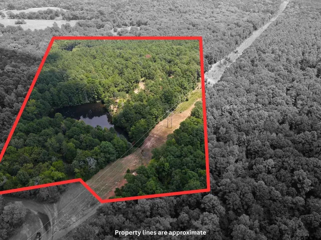 a view of a bench in a backyard
