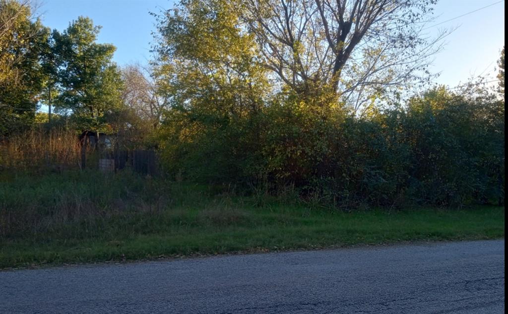 7071 Darling Street Azle, TX 76020 - Photo 2 of 6 a view of a yard
