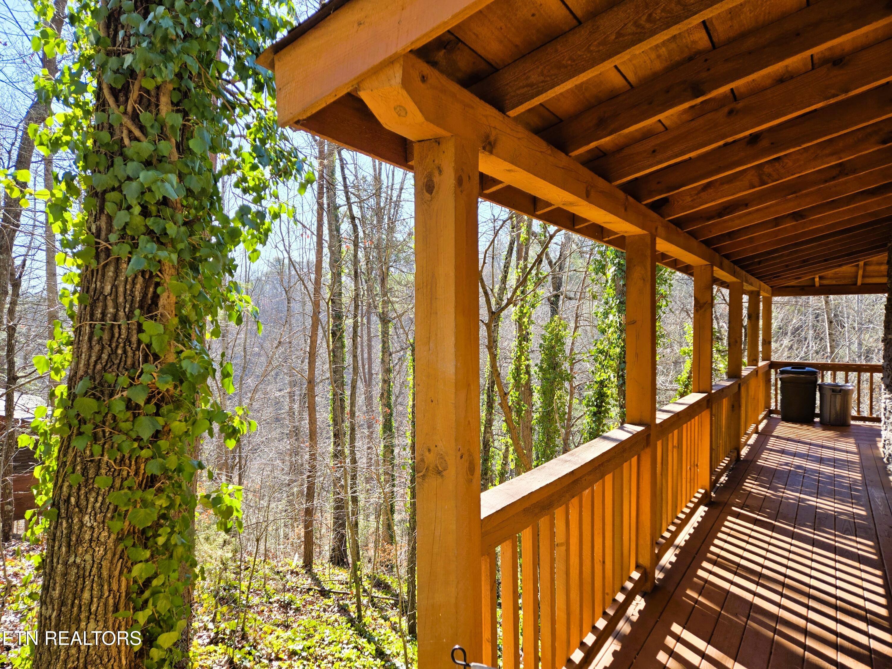 1580 Walt Price Road Sevierville, TN 37876 - Photo 28 of 37 1580 WPR EXT Entry Porch 3