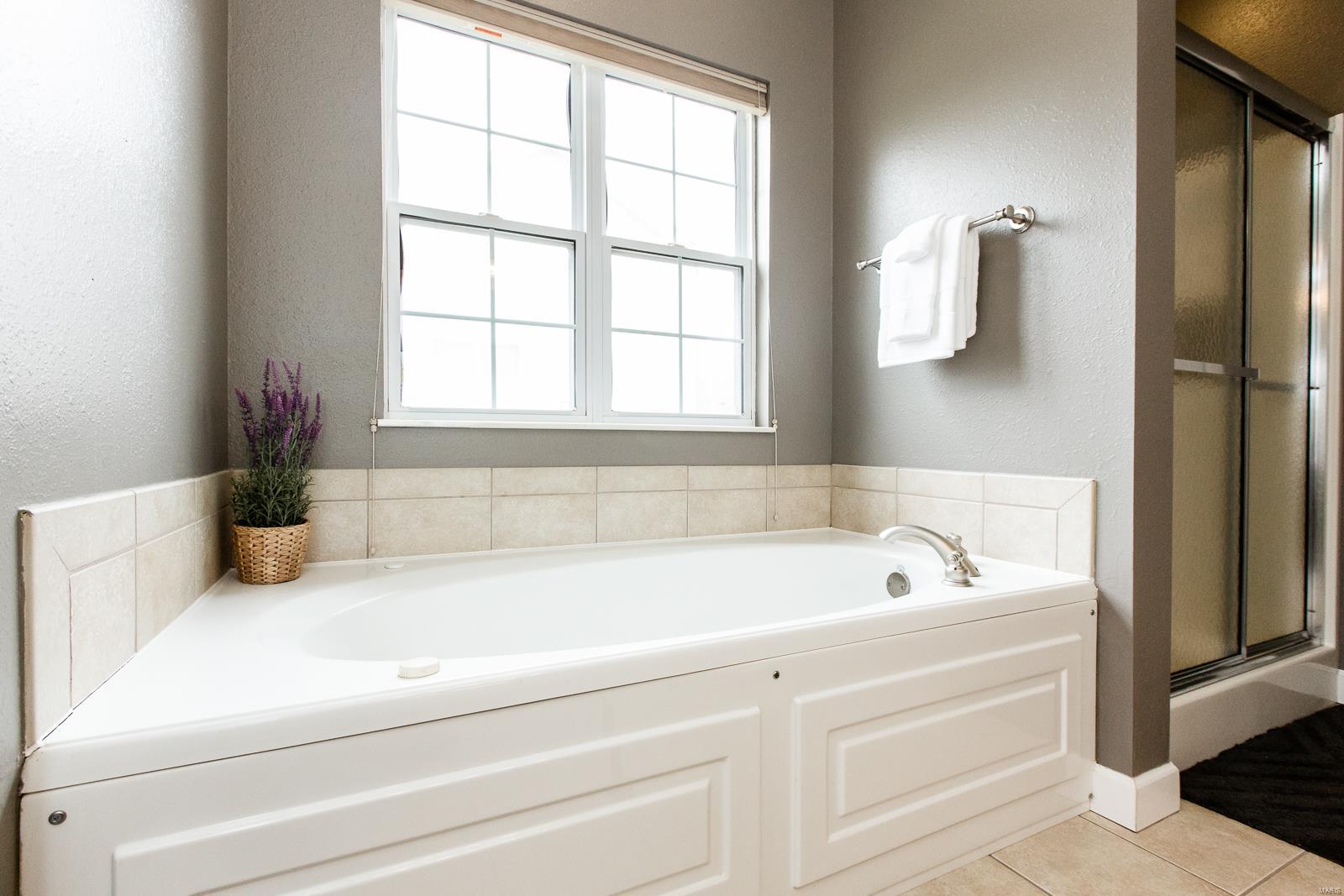1128 Red Hawk Ridge Lane O'Fallon, IL 62269 - Photo 32 of 65 Gallery Image 32