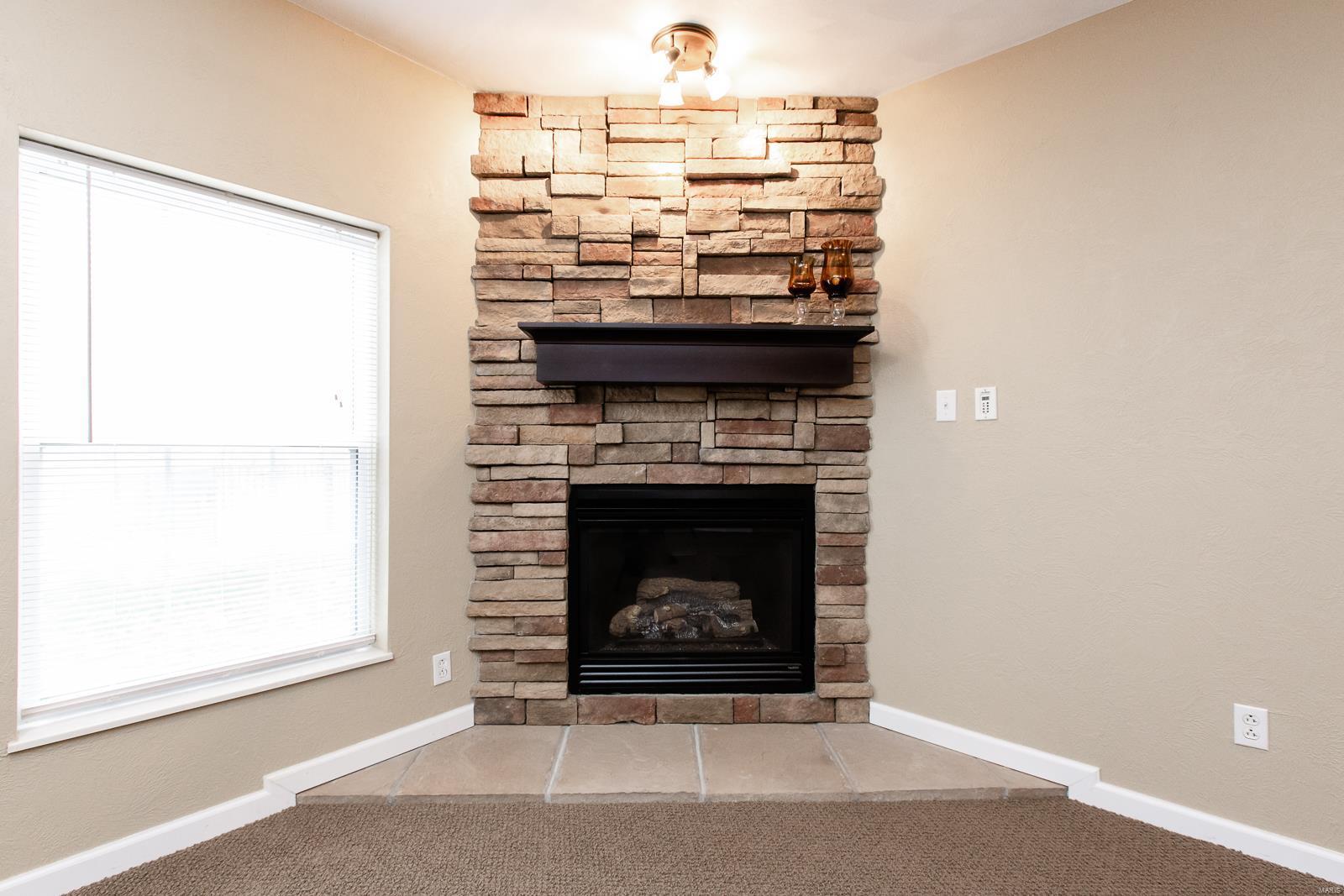 1128 Red Hawk Ridge Lane O'Fallon, IL 62269 - Photo 42 of 65 Gallery Image 42