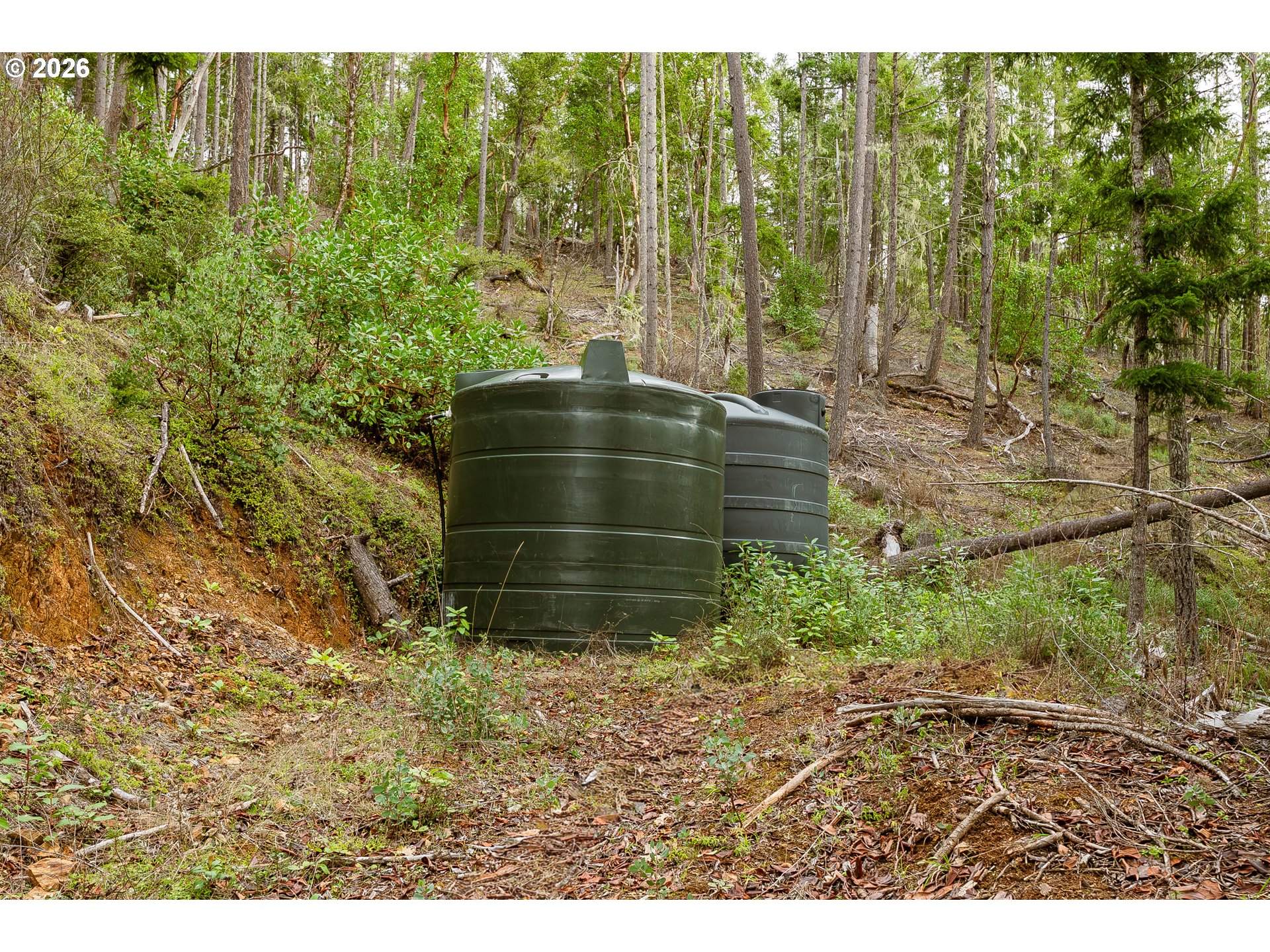 4202 Upper Cow Creek Road Azalea, OR 97410 - Photo 27 of 38