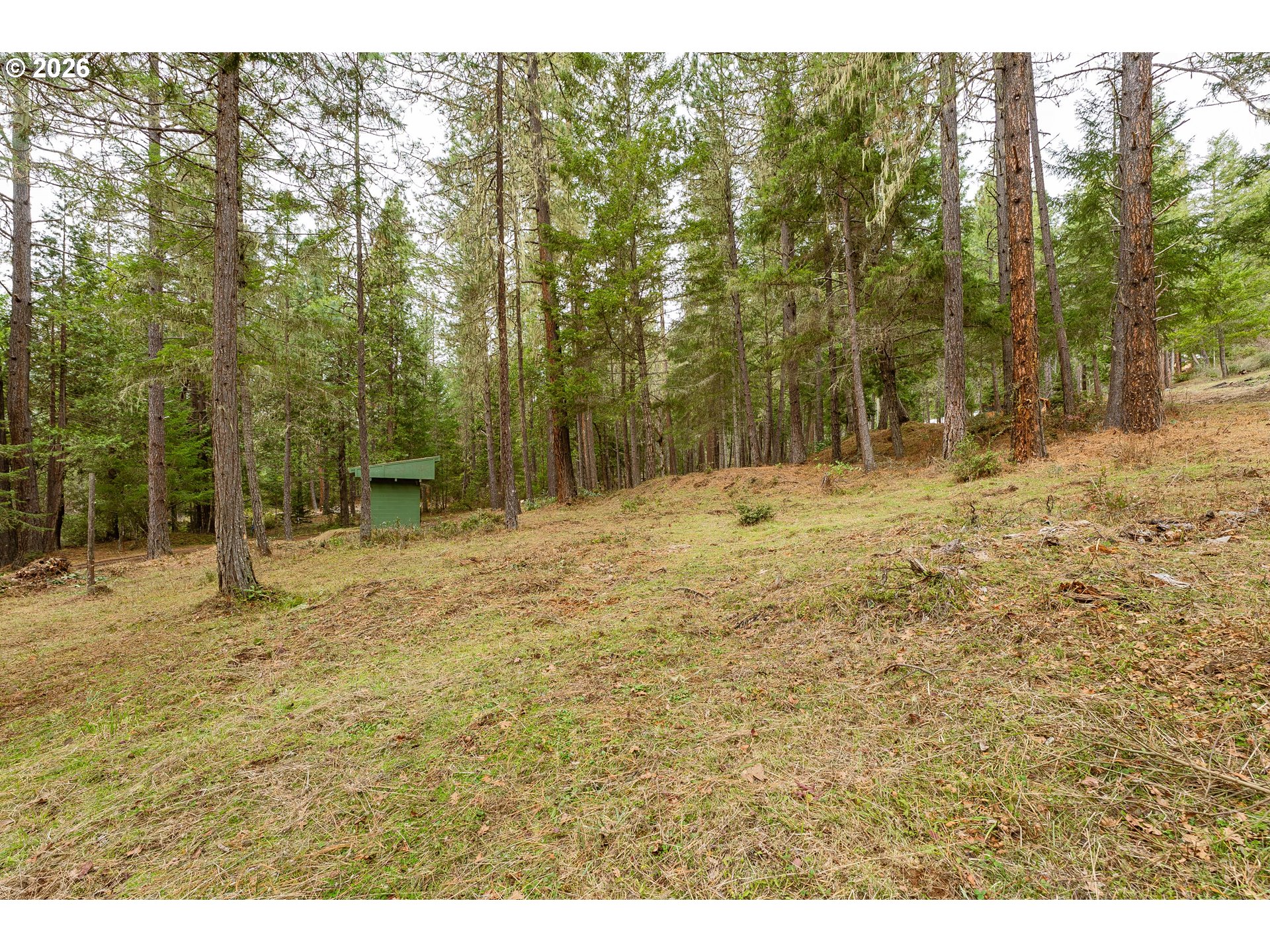 4202 Upper Cow Creek Road Azalea, OR 97410 - Photo 5 of 38