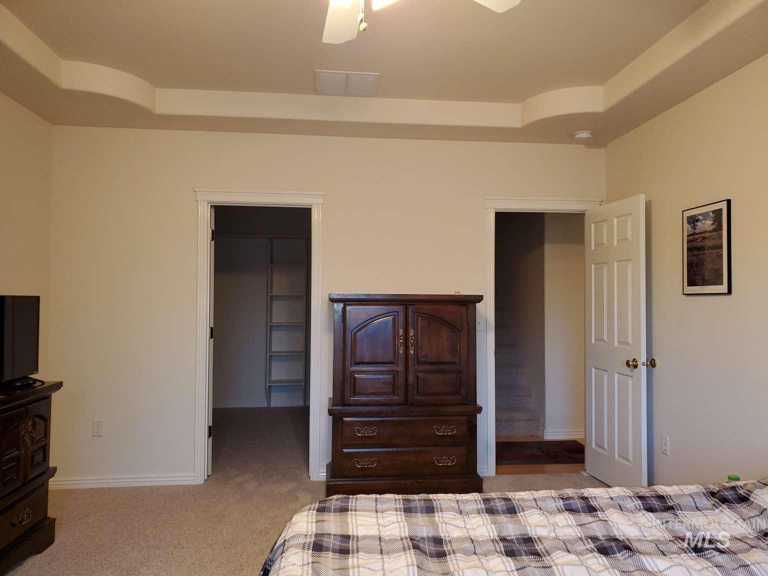 1100 East Wright Street Boise, ID 83706 - Photo 14 of 25 Bedroom with a walk in closet, ceiling fan, a tray ceiling, and light colored carpet