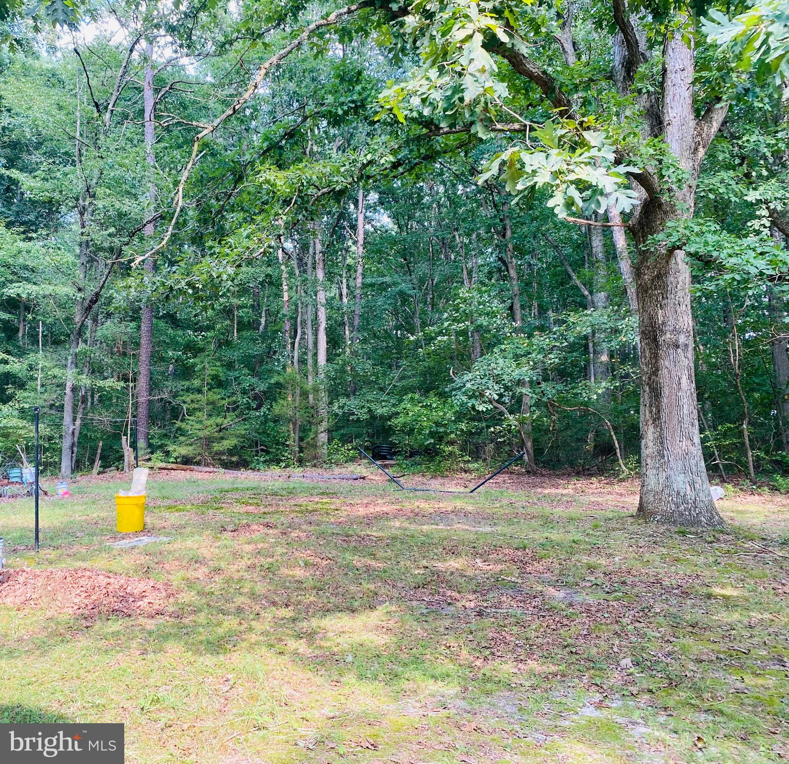166 New Brooklyn Road Berlin, NJ 08009 - Photo 14 of 17 Gallery Image 14
