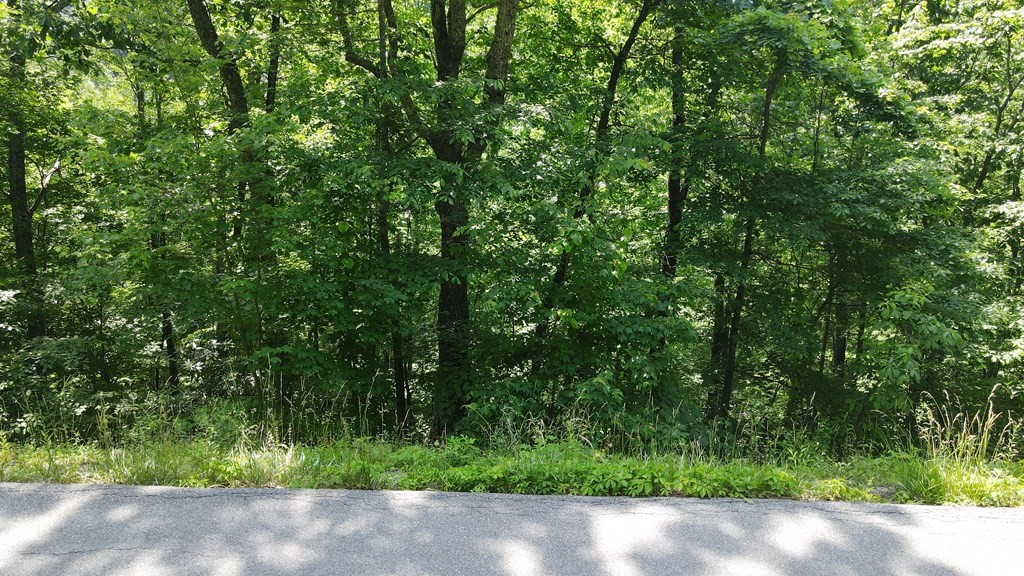 0 Lower Alpine Way Gatlinburg, TN 37738 - Photo 7 of 7