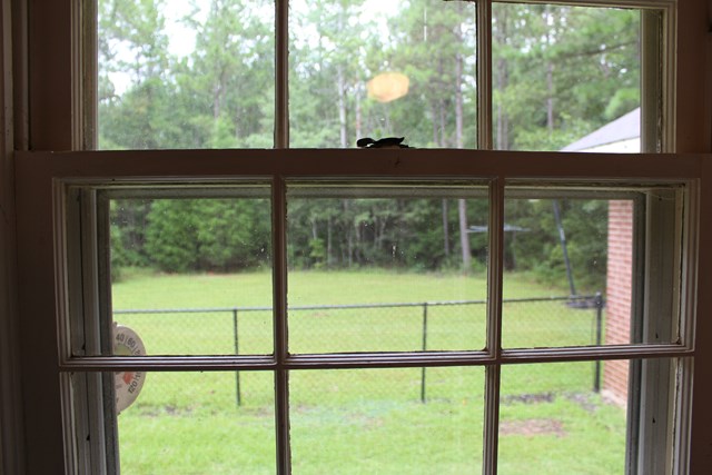1374 Goat Rock Road Fortson, GA 31808 - Photo 9 of 17 Gallery Image 9