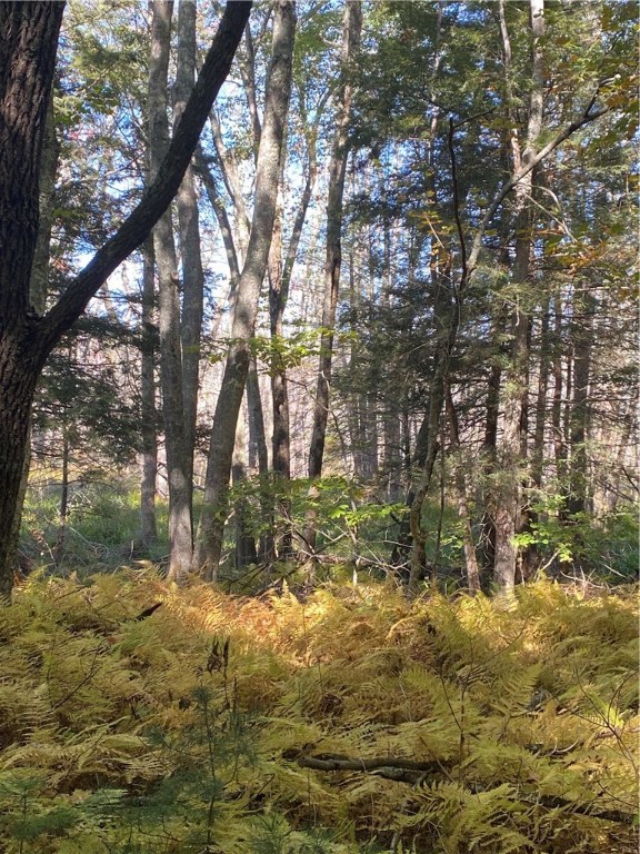 0 North Road Foster, RI 02825 - Photo 8 of 12