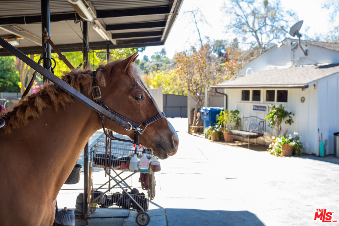 13181 Riviera Ranch Road Los Angeles, CA 90049 - Photo 27 of 28