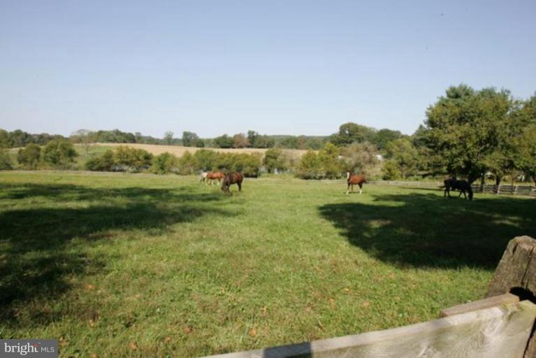 16632 Jm Pearce Road Monkton, MD 21111 - Photo 17 of 17 Wooded View / Acreage 3