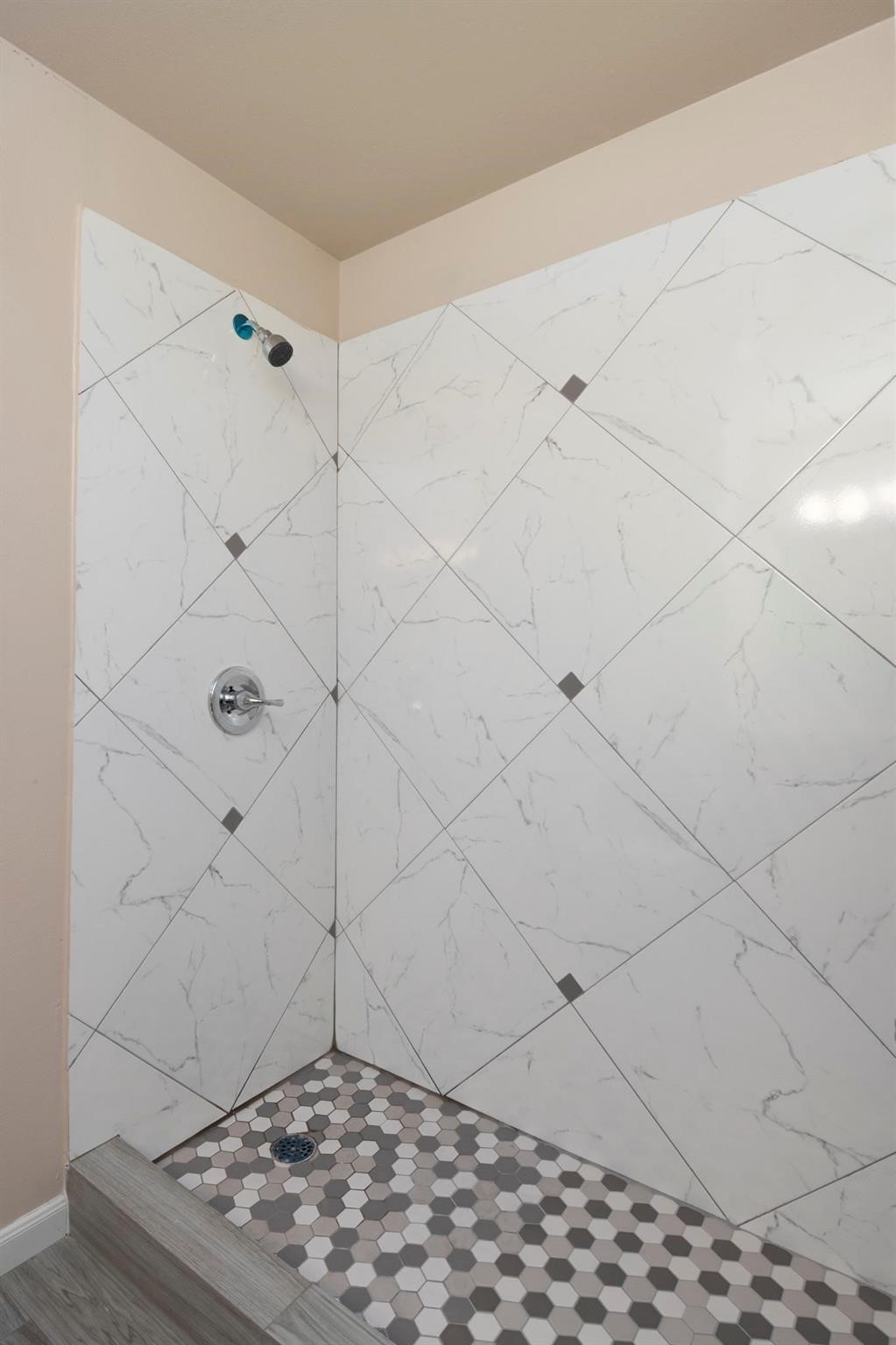 22262 Adams Street Porter, TX 77365 - Photo 9 of 11 Primary Shower