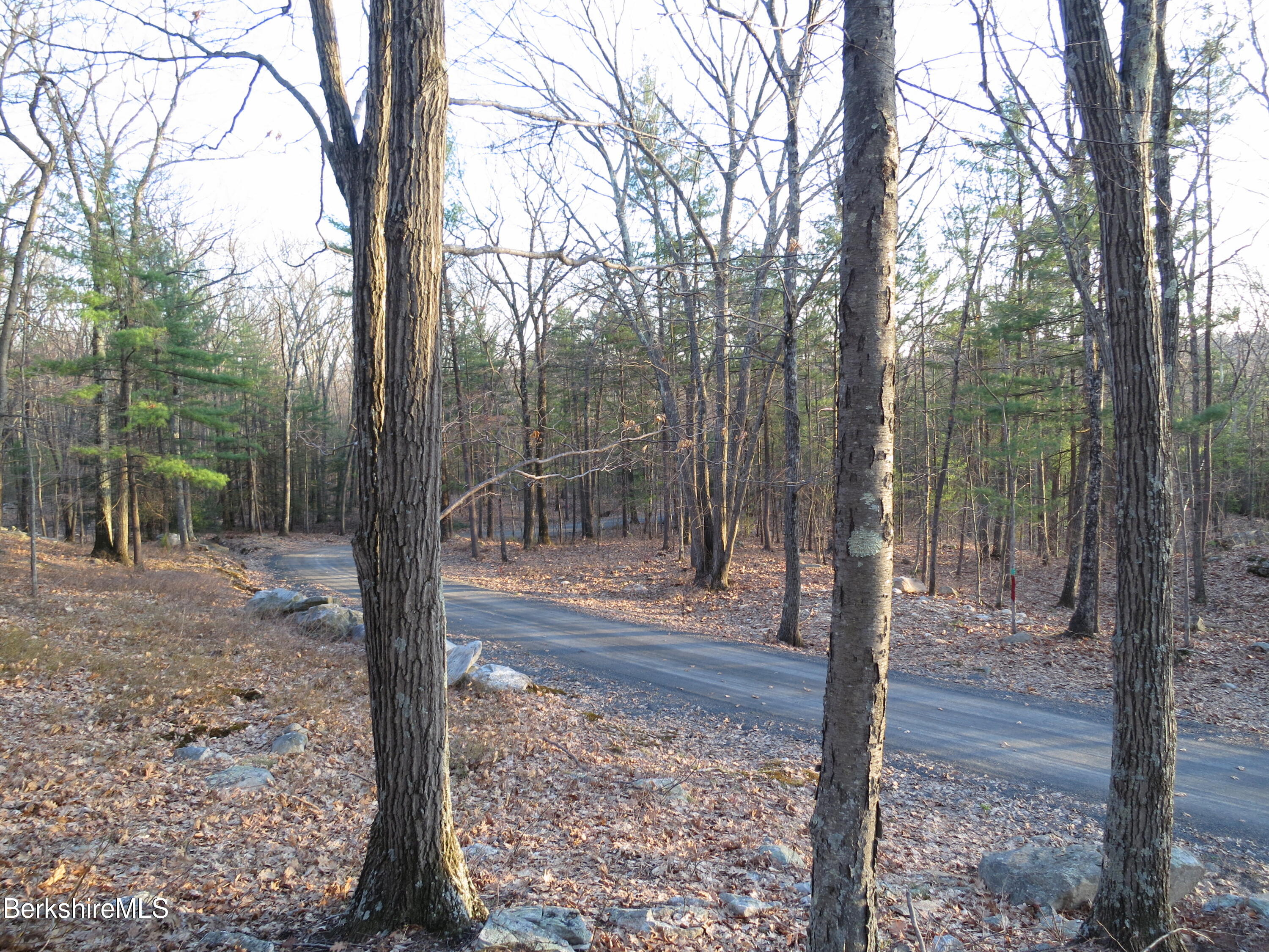 32 Sumner Mountain Road Amherst, MA 01002 - Photo 6 of 6 Lot 2-view of common driveway