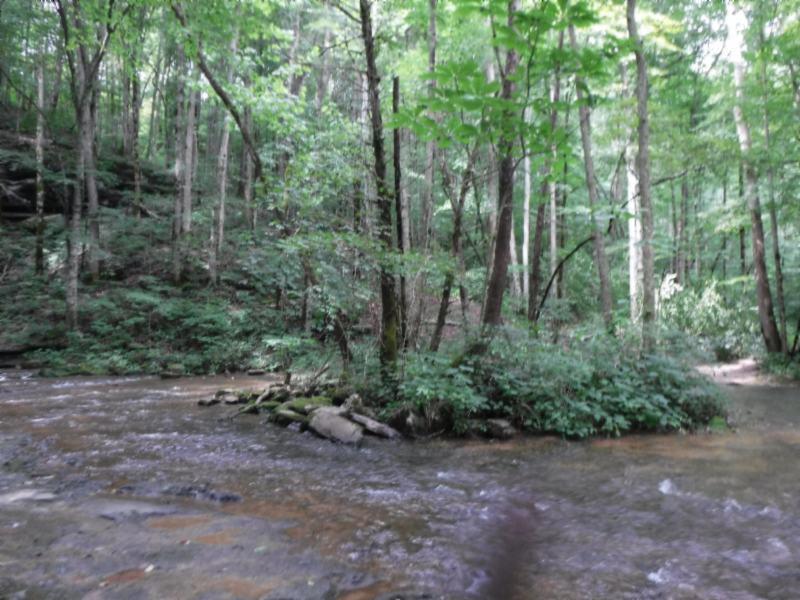 23.64 Garrett Mill Road Livingston, TN 38570 - Photo 14 of 30 08022018 025