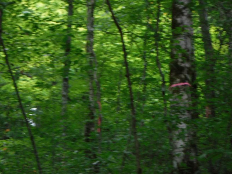 23.64 Garrett Mill Road Livingston, TN 38570 - Photo 23 of 30 08022018 050