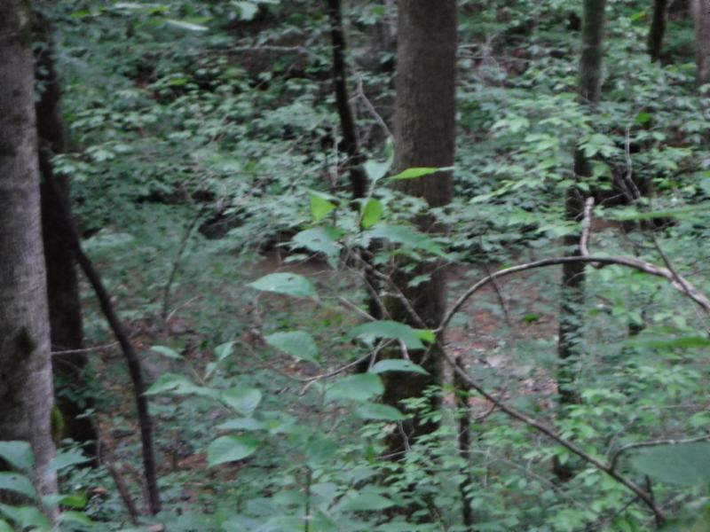 23.64 Garrett Mill Road Livingston, TN 38570 - Photo 24 of 30 08022018 055