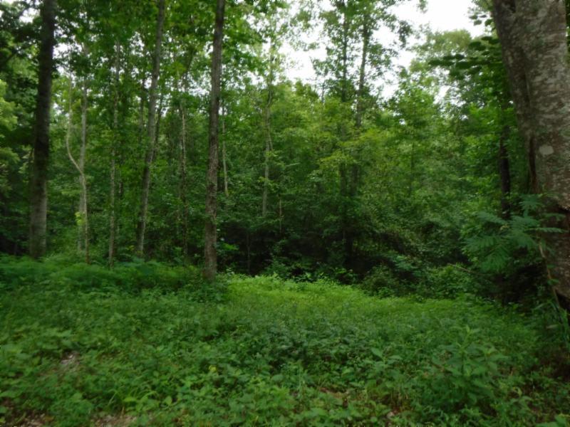 23.64 Garrett Mill Road Livingston, TN 38570 - Photo 26 of 30 08022018 065