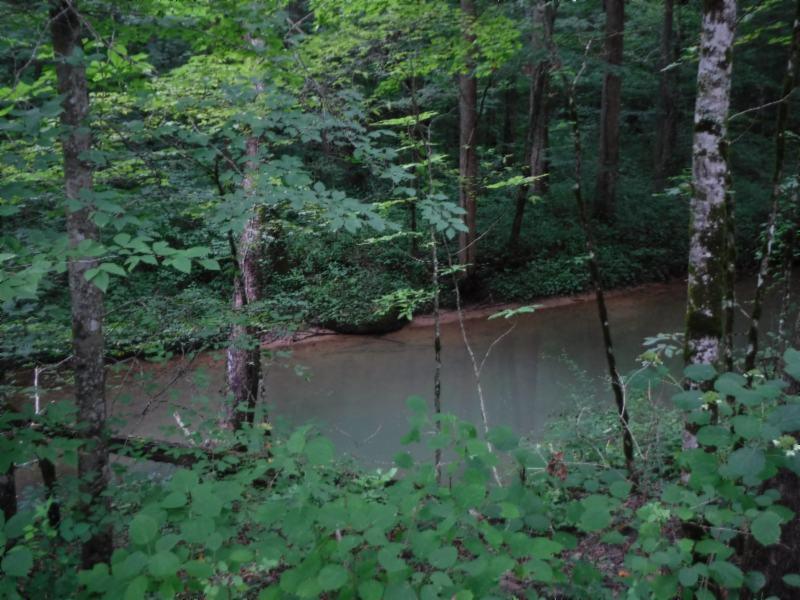 23.64 Garrett Mill Road Livingston, TN 38570 - Photo 27 of 30 08022018 066