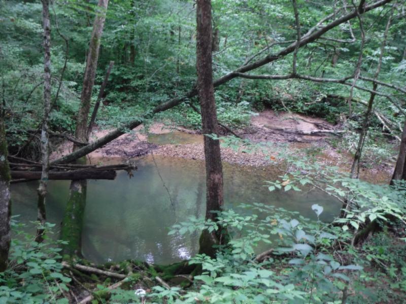 23.64 Garrett Mill Road Livingston, TN 38570 - Photo 28 of 30 08022018 068