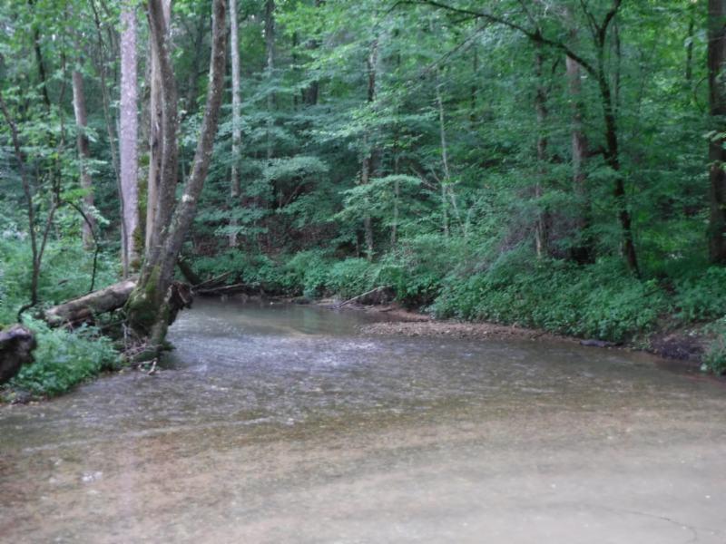 23.64 Garrett Mill Road Livingston, TN 38570 - Photo 29 of 30 08022018 073