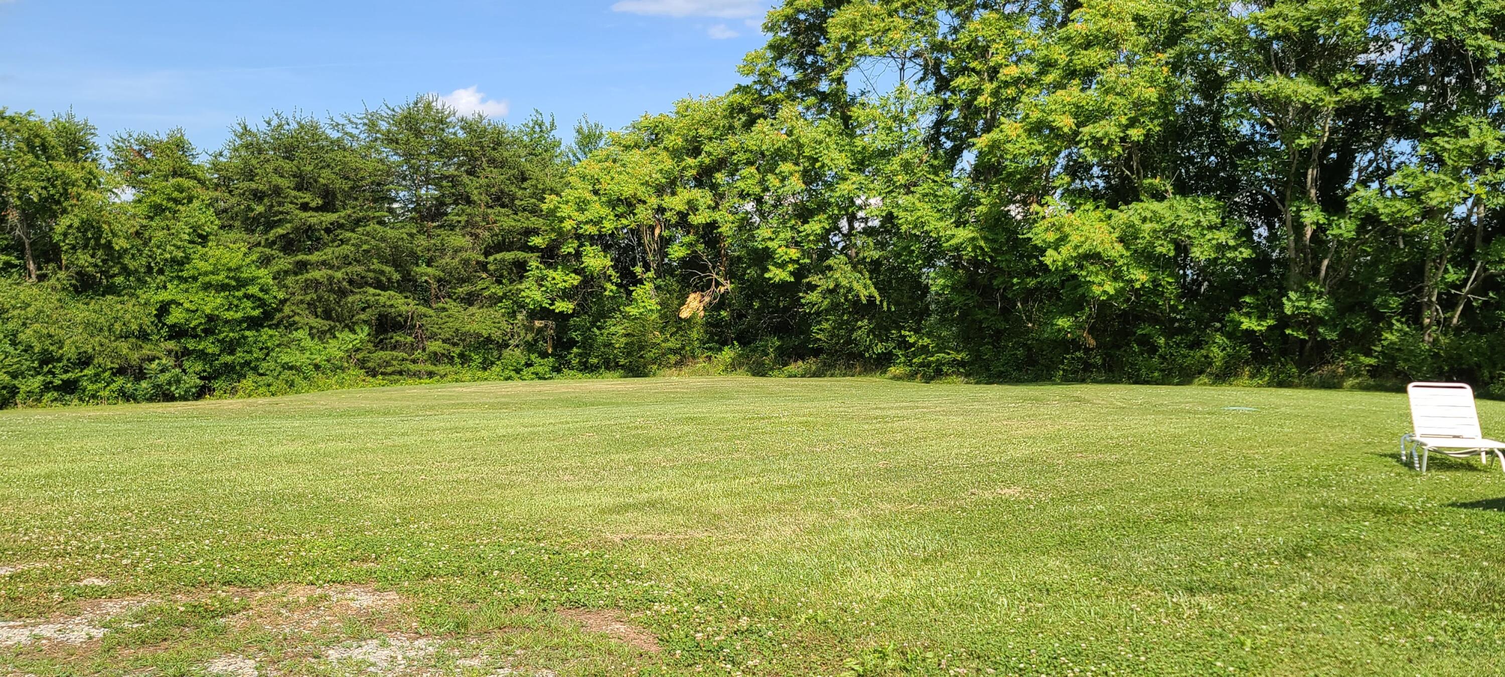 3496 Alean Road Boones Mill, VA 24065 - Photo 10 of 19 Back yard 2