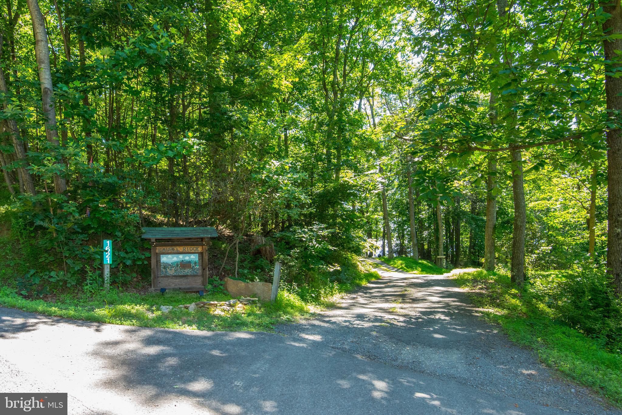 1619 Summit Drive Haymarket, VA 20169 - Photo 41 of 62 Driveway