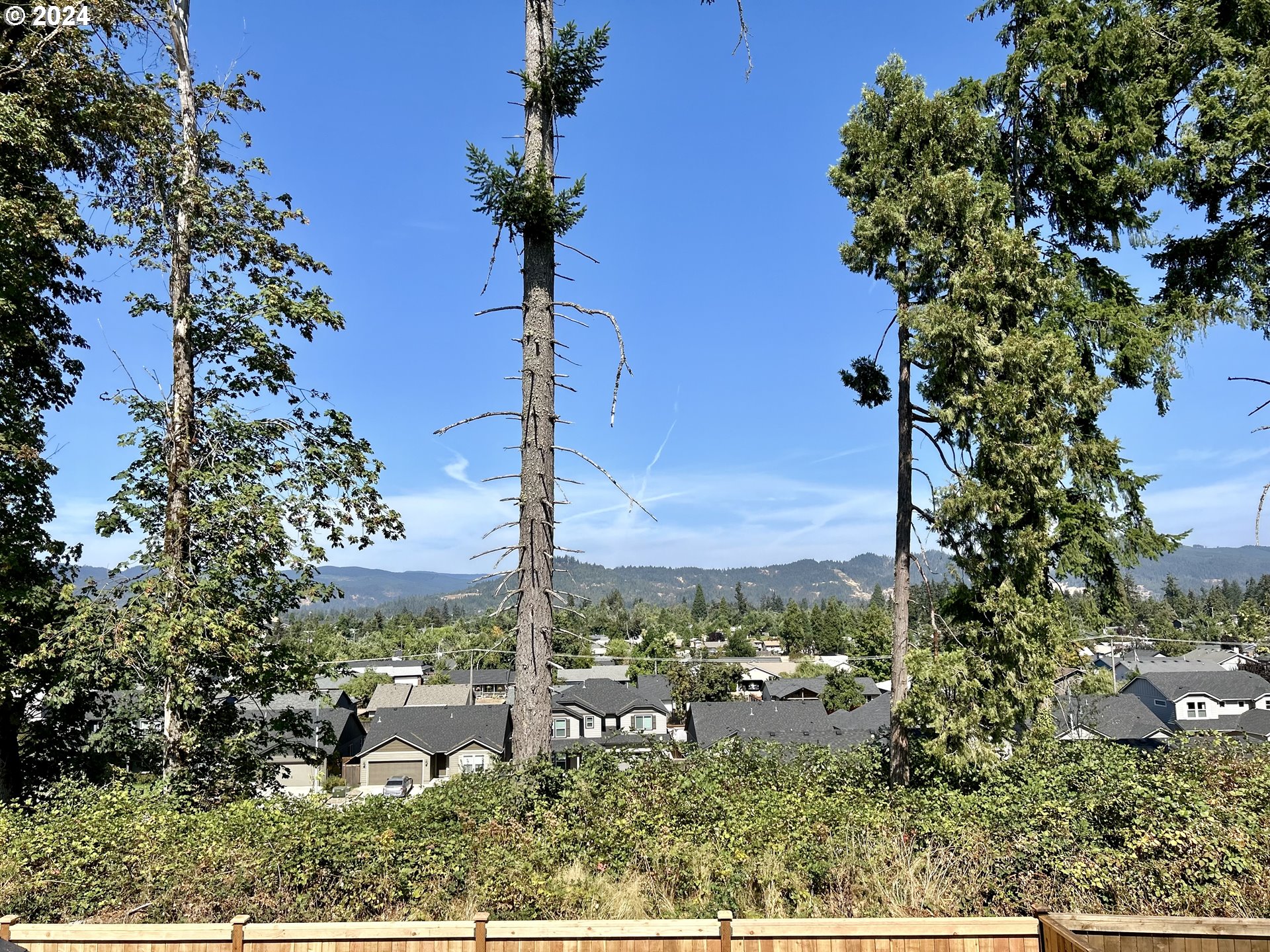 4972 Cedar View Drive Springfield, OR 97478 - Photo 16 of 17 a view of a garden