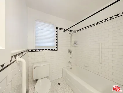 a bathroom with a toilet and a bathtub