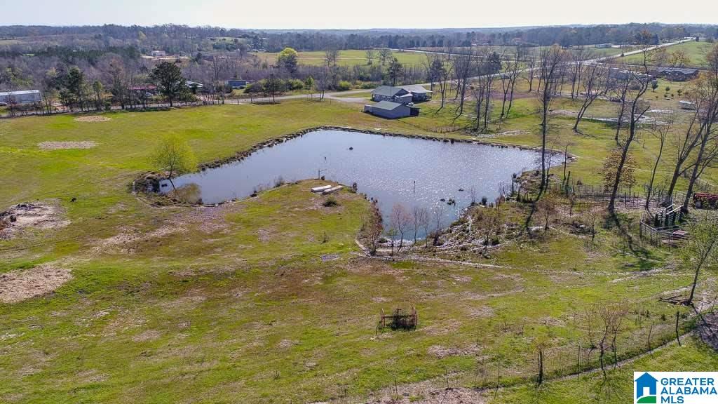 348 County Road 370, Unit 1 Clanton, AL 35045 - Photo 7 of 10