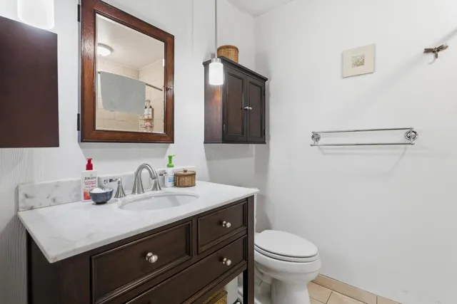 a view of a pathway with plants and large trees