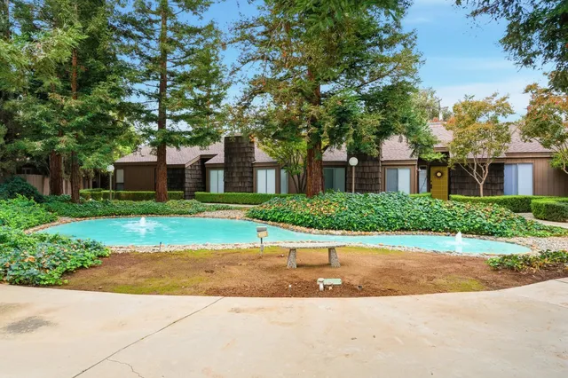 a view of a garden with potted plants