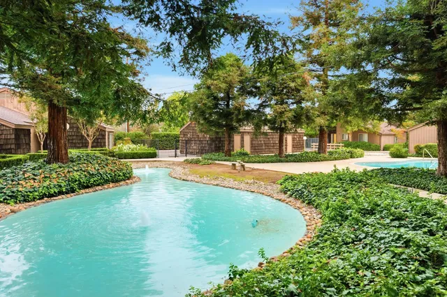 a aerial view of a house with a yard and potted plants