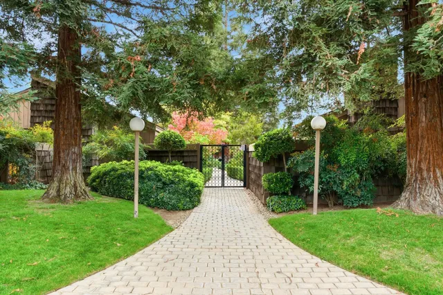 a view of a park with large trees