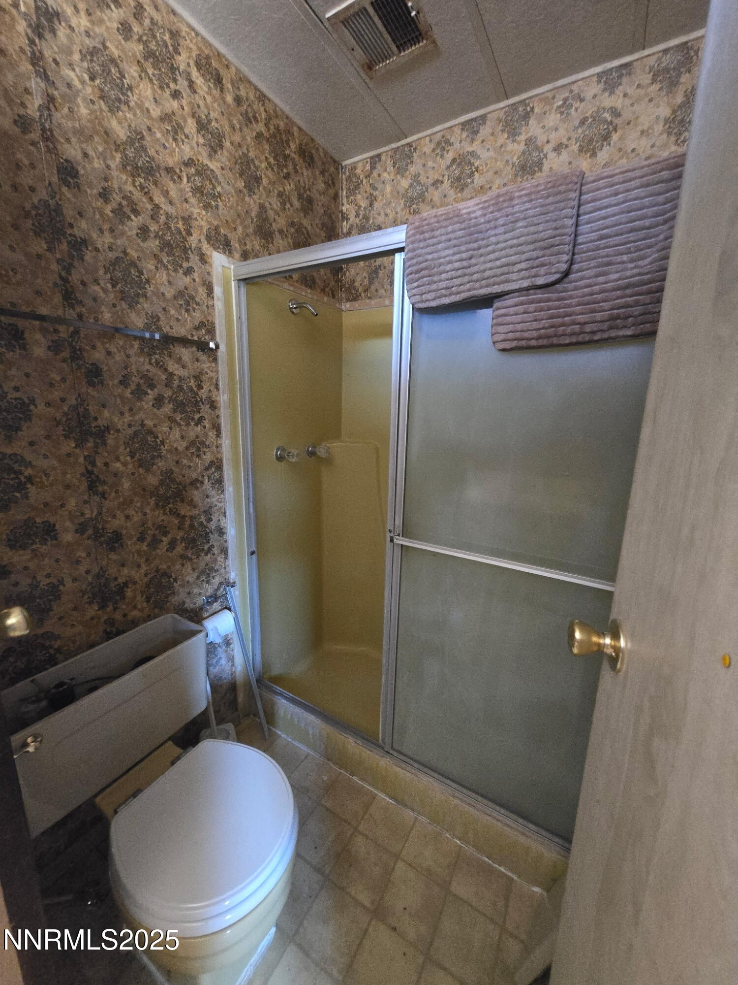 1340 Topaz Ranch Drive Topaz Ranch Estates, NV 89444 - Photo 15 of 20 a bathroom with a toilet and a shower