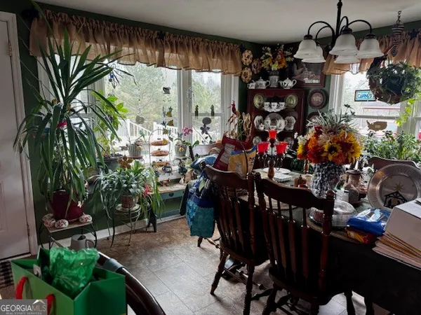 a plant is in front of a house