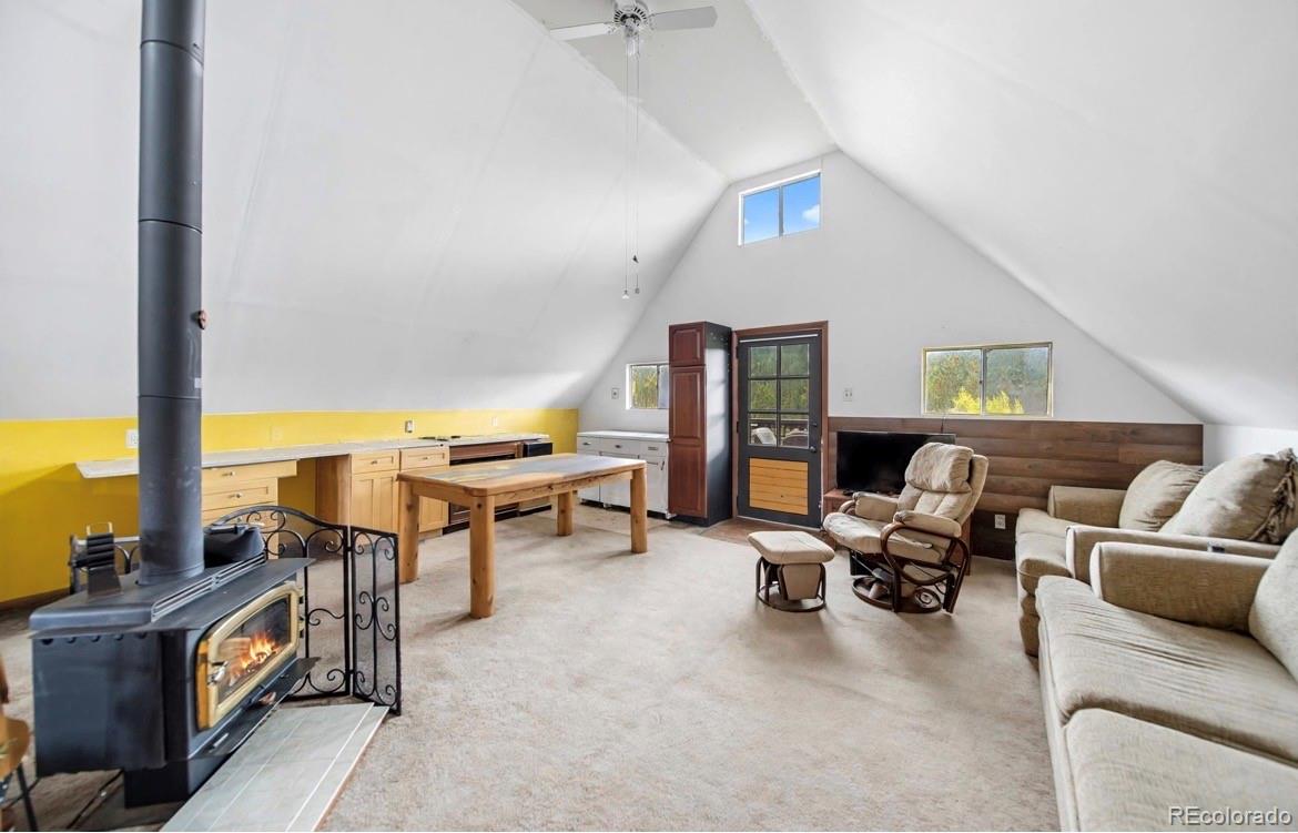 229 McDougal Road Bailey, CO 80421 - Photo 14 of 29 Gallery Image 14