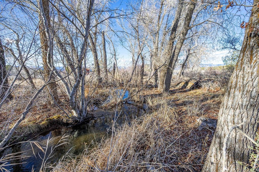 49131 I E Road Mesa, CO 81643 - Photo 11 of 30