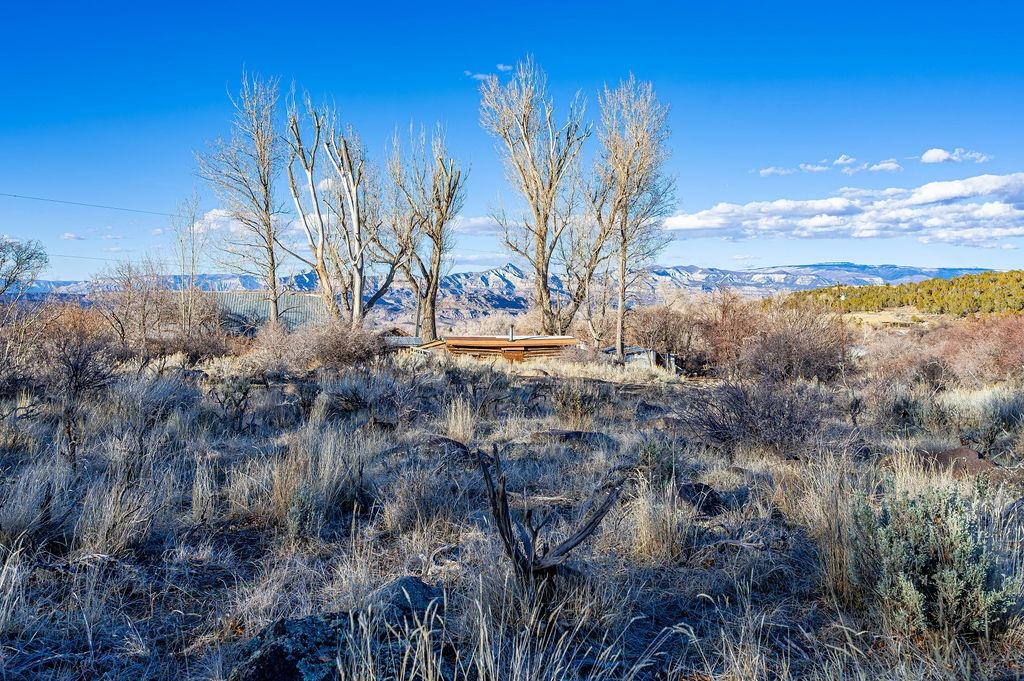 49131 I E Road Mesa, CO 81643 - Photo 12 of 30