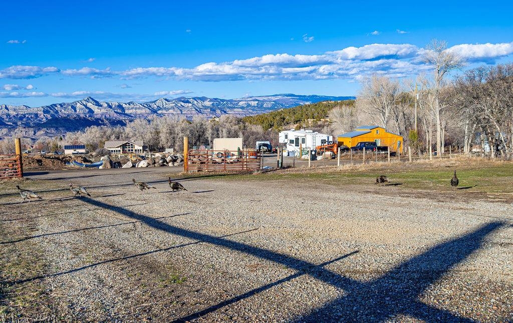 49131 I E Road Mesa, CO 81643 - Photo 14 of 30