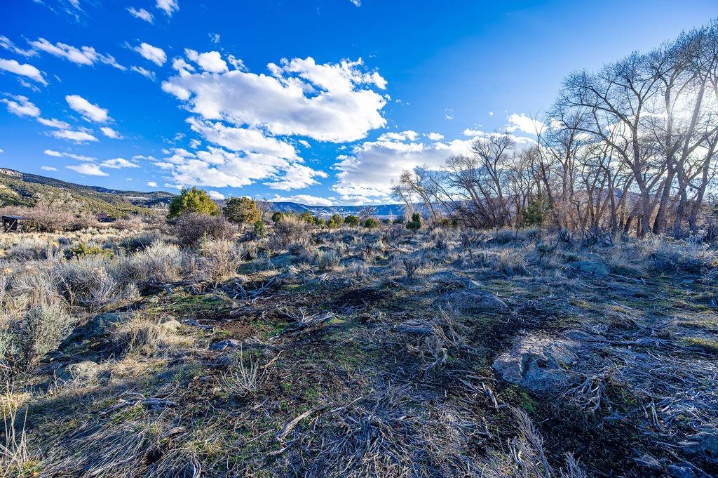 49131 I E Road Mesa, CO 81643 - Photo 7 of 30