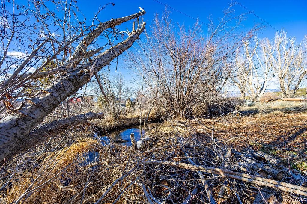 49131 I E Road Mesa, CO 81643 - Photo 8 of 30