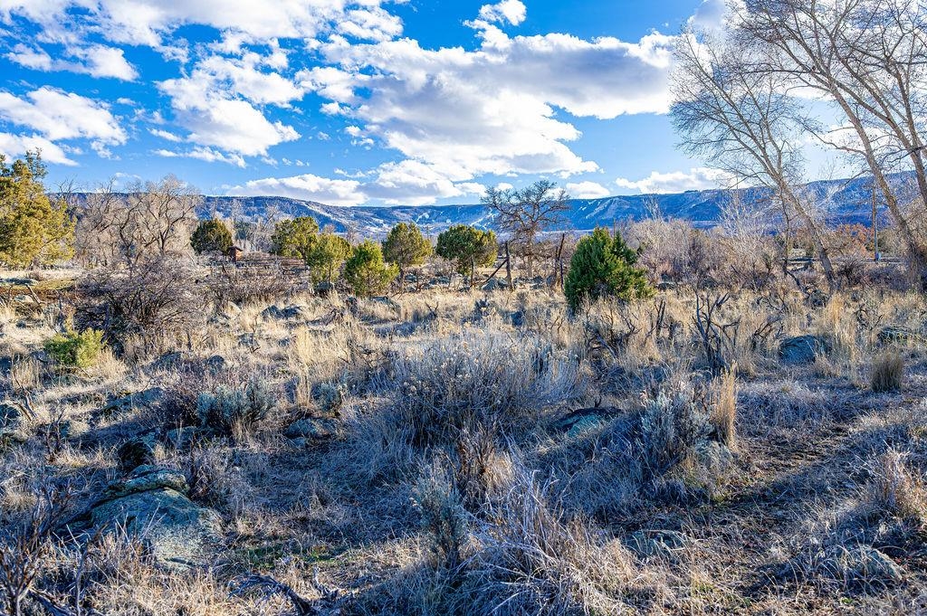 49131 I E Road Mesa, CO 81643 - Photo 9 of 30